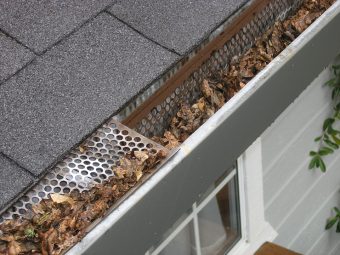 gutter-guard-ipswich-2434467_960_720